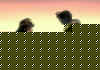 rinoasquallove.jpg (16131 bytes)
